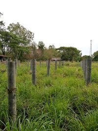 Wooden post on field against clear sky