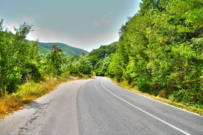 Empty road along trees and plants