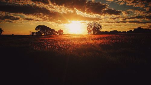 Scenic view of field against sky at sunset