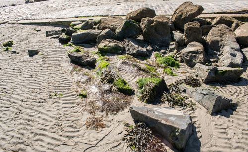 High angle view of rocks on beach