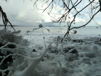 Surface level of snow on land against sea