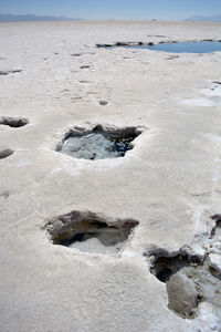 Freshwater spring in salt desert