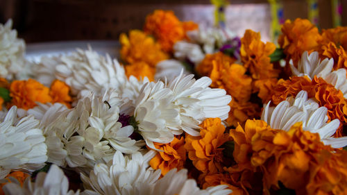 Close-up of fresh orange flowers in market for sale