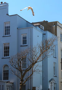 architecture
