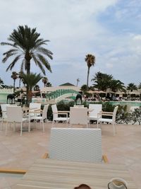 Palm trees by swimming pool against sky