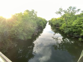 Scenic view of river amidst trees in forest against sky