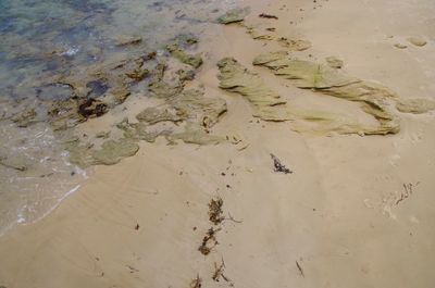 High angle view of beach