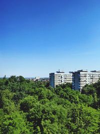 Trees and plants against blue sky in city