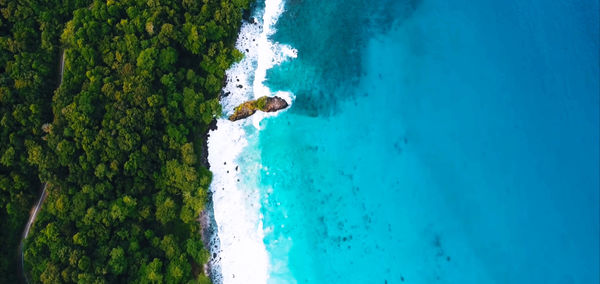 High angle view of man swimming in pool