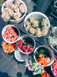 High angle view of roses on table