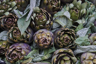 Full frame shot of vegetables at market stall