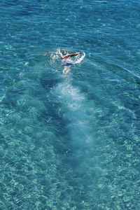 View of jellyfish swimming in sea