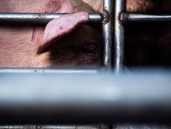 Close-up of man on metal grate