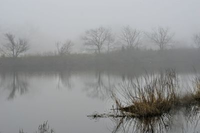 Reflection of trees in lake against sky