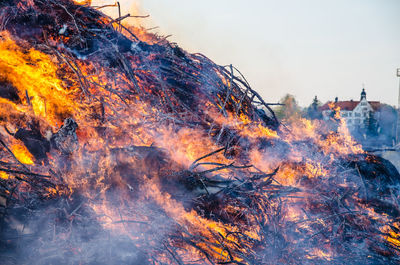 Panoramic shot of tree against sky