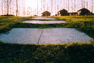 Scenic view of grass against sky