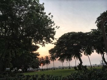Trees by lake against sky during sunset
