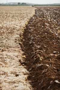 Surface level of dirt road on field