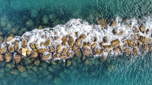 Aerial view of sea