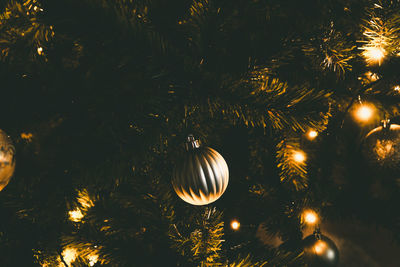 Close-up of illuminated christmas tree at night