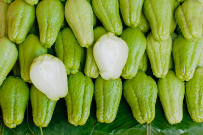 Directly above shot of chayote squash