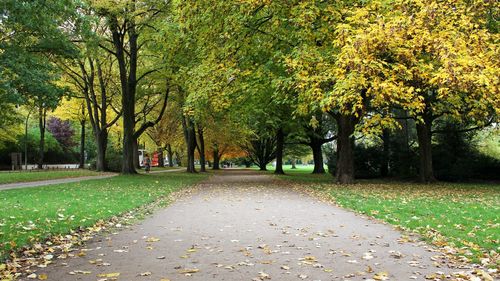 Road amidst trees in park during autumn