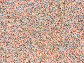 Full frame shot of abstract pattern on floor