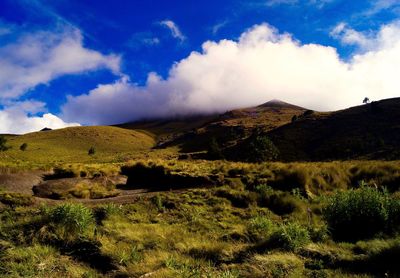 Scenic view of landscape against sky