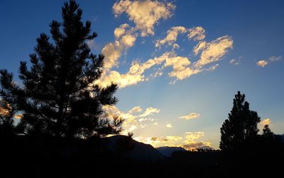 Low angle view of silhouette trees against sky