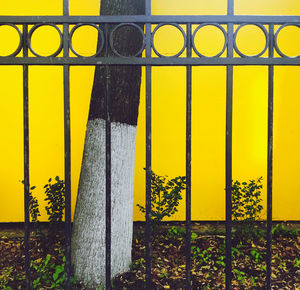Close-up of yellow railing