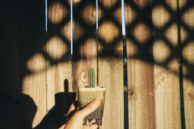 Cropped hand of woman using mobile phone