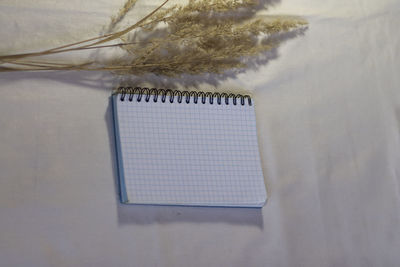 Close-up of plant on table against wall