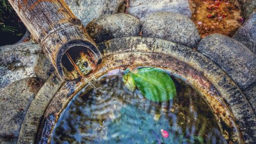 High angle view of snake on rock