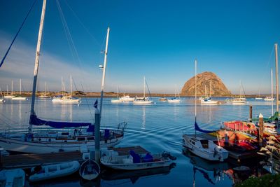 Boats moored in harbor