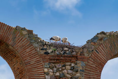 Low angle view of old building against sky