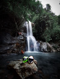 Scenic view of waterfall in forest