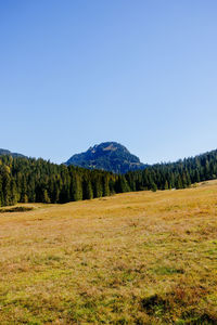 Scenic view of field against clear blue sky