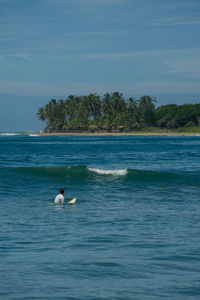 Surfer on the sea, palm trees on the background, blue sky. arugam bay, sri lanka. portrait format
