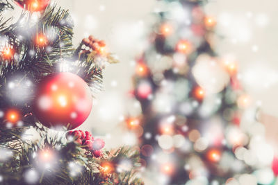Close-up of christmas tree