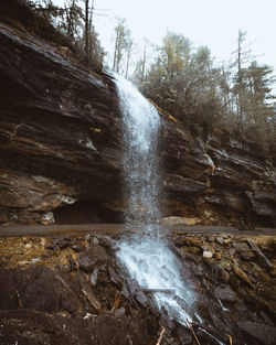 Scenic view of waterfall in forest