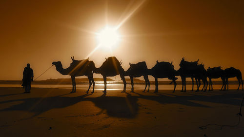 Silhouette people on beach during sunset