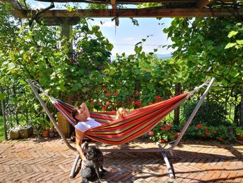 Man on hammock against trees