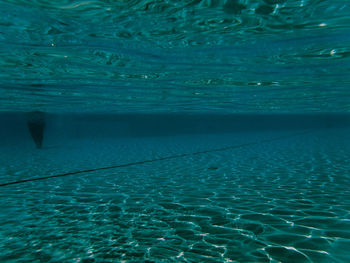 Close-up of swimming underwater