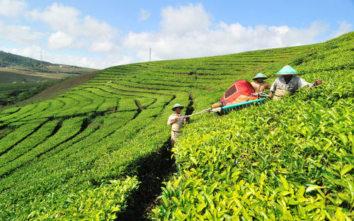 Man working on agricultural field against sky