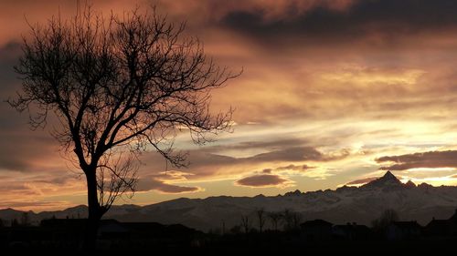 Silhouette tree on landscape against sky at sunset