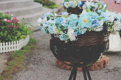 Close-up of potted plant