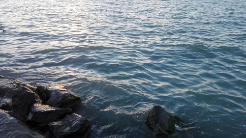 Scenic view of sea against blue sky