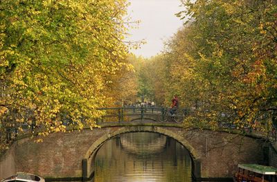 Bridge over pond in park