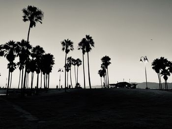 Silhouette palm trees on field against clear sky