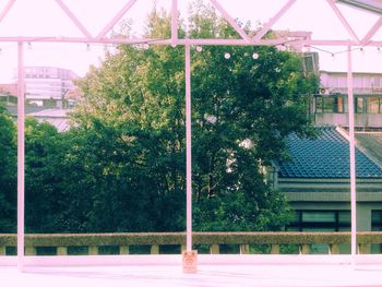 Trees and plants against sky